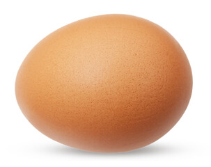 Chicken brown egg isolated on white