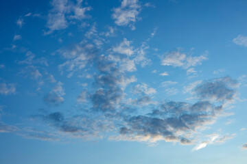 Obraz premium Sunset soft tones enlighten a flock of small cumulus clouds contrasting against a blue vibrant sky. Weather conditions and climate concept. Abstract background wallpaper poster.