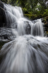 Fototapeta na wymiar waterfall in the forest with many cascades