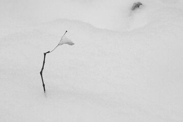 Abstract snow shapes - beautiful texture and background
