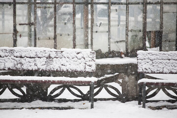 Snowing in the park. Details