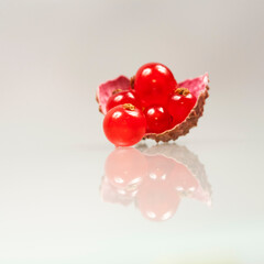 Red currants in a litchi shell with white background