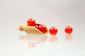 Red currants with white background