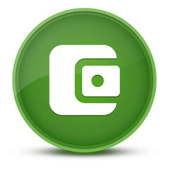 Account balance wallet luxurious glossy green round button abstract