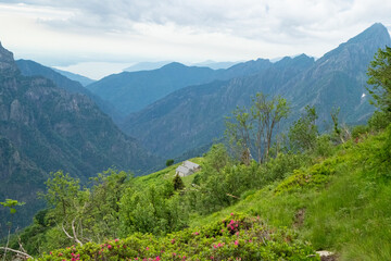View from Pizzo Mottac over the alp towards the core of the valley of Val Grande National Park