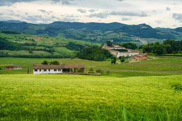 Fototapeta na wymiar Vineyards in Oltrepo Pavese, italy, at springtime