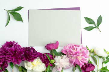 Gray sheet of paper in a frame of peonies. Blank for a greeting card or invitation. Top view of a blank sheet of paper with place for text. flower composition