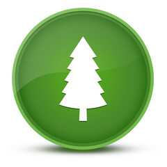 Evergreen conifer pine tree luxurious glossy green round button abstract