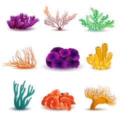 Set of different kinds of tropical coral reefs. Sea life elements. Vector illustration 