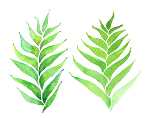 Watercolor Tropical Greenery. Vector Leaves