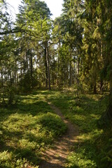 The flora and fauna in the landscapes of Öland in Kalmar region of Sweden, Scandinavia