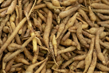 Krachai finger root Thai herbs to prevent COVID-19