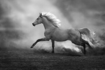 horse running