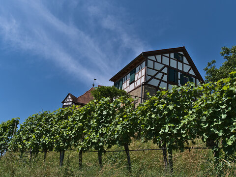 Low angle view of old half-timbered house, part of castle Burg Wildeck (built ca. 12th century) in Abstatt, Baden-Württemberg, Germany on sunny summer day with green colored vineyards in front.