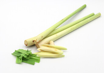 herb lemongrass isolated on white background