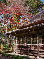 秋の蘆花恒春園　徳冨蘆花旧宅　秋水書院の紅葉