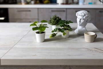 Artificial miniature copies of monstera and tropical plants with the head of David and a small coffee gray cup are on a wooden table in a beige kitchen interior