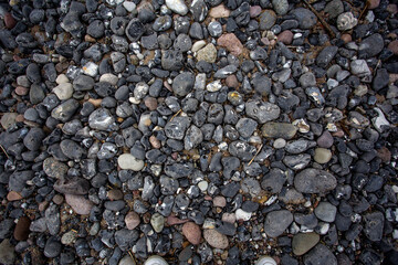 background sea stones of the north sea