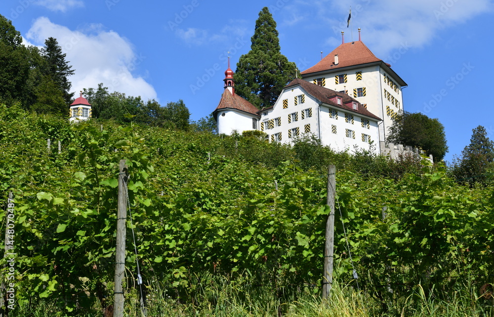 Canvas Prints château