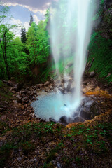 Fototapeta na wymiar stream in the forest looks like a waterfall