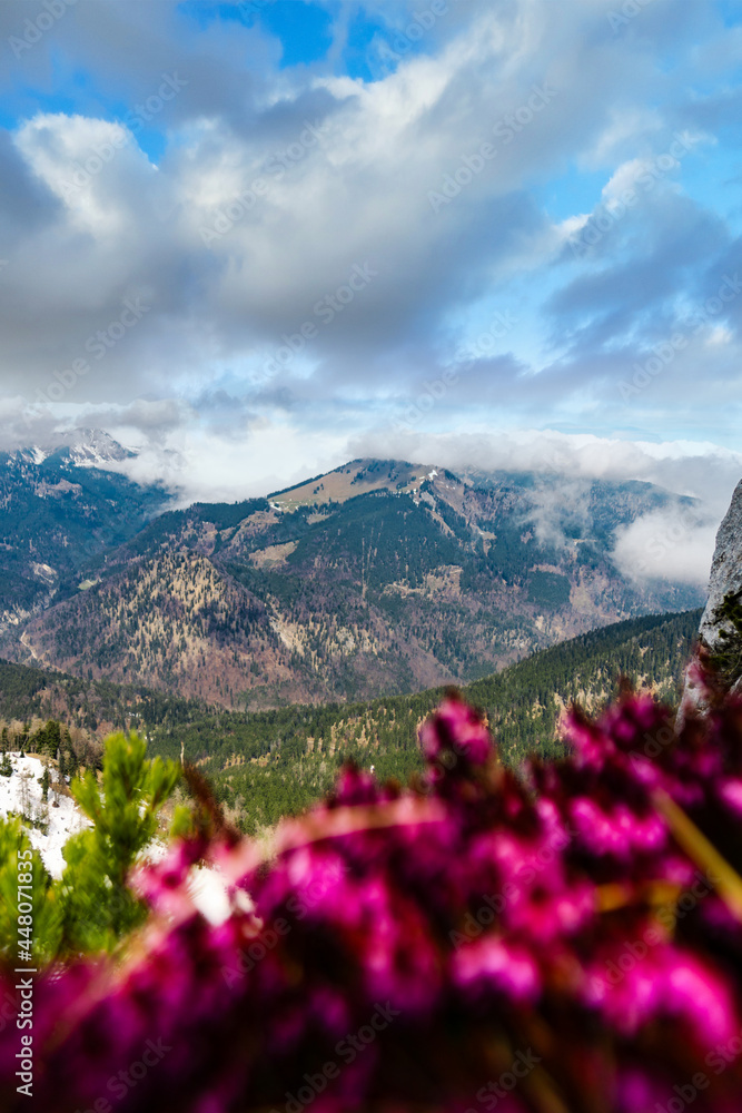 Wall mural mountain panorama view