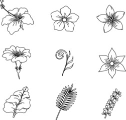 set of hand drawing floral