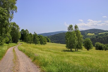 The beautiful nature in the place of the lost village Stodulky at Sumava, Czech republic