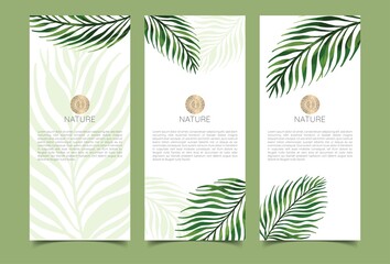 Fototapeta na wymiar Branding Packaging tropical plant leaf summer pattern background, for spa resort luxury hotel, logo banner voucher, fabric pattern, organic texture. vector illustration.