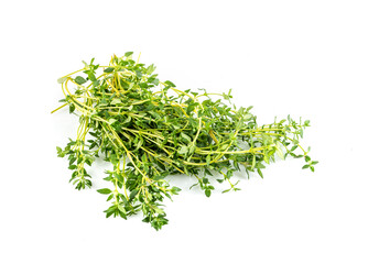 Fresh thyme in heap on white background.
