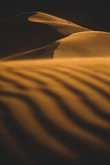 Fototapeta na wymiar Calm Desert (Photo was taken in UAE)
