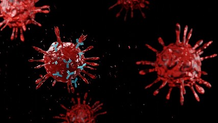 Close-up of dissolving virus under microscope. Antibodies attack and destroy the coronavirus. SARS-CoV-2 COVID-19 pandemic cure or vaccination concept. Realistic high quality medical 3D Rendering