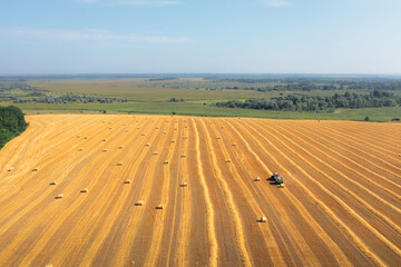 Lots of bales of straw in a mowed field: tractor packs straw in bales, aerial drone shot....