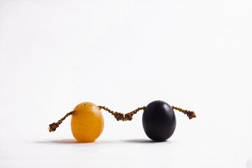 Light and black grapes are holding hands. The concept of tolerance and friendship.