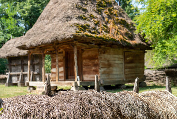 Fototapeta na wymiar straw hut in the countryside