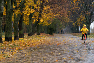 Alley of autumn park with fallen leaves and cyclist in the distance. Boy in yellow raincoat rides a bicycle in the rain