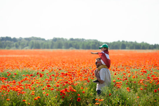 Dad holding his little son covered with flag of Latvia on his shoulders in the poppy field. Declaration of Independence Day. Ligo. Proclamation of the Republic. Travel, learn latvian language concept.
