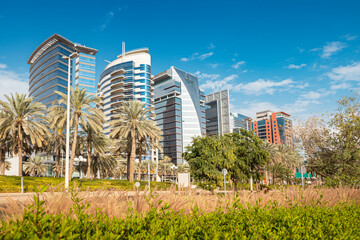 Spacious lawn and palm trees with tall residential or office skyscrapers