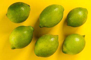 Green lemons of Siracusa, Sicilia, Italy, femminello variety, six fruits isolated on yellow background