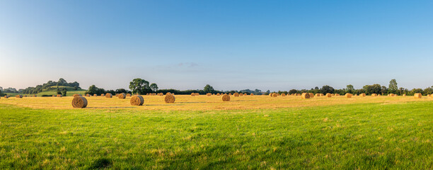 Fototapeta na wymiar Panorama shot of agricultural field with straw bales and blue sky.