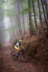 Fototapeta na wymiar Cyclist in the autumn forest