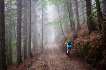 Obraz premium Cyclist in the autumn forest