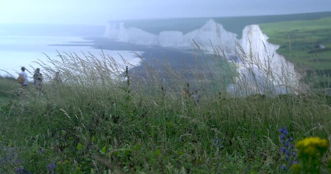 Birling Gap, Eastbourne, England - July 3 2021: The spectacular natural coastal landscape of huge white cliffs and coastal paths attract many tourists, hikers and families of all ages