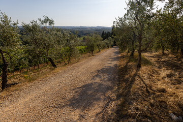 Typische Landschaft in der Toskana Postkartenmotiv