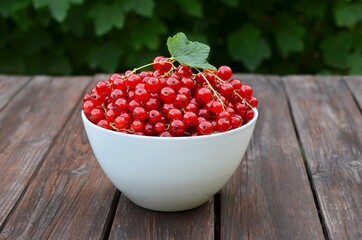 White bowl with ripe berries of redcurrant on a rustic wooden table. Concept of growing your own organic food.