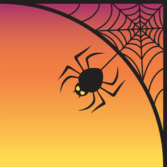 black spider, spider web background