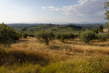 Obraz premium Toskana Ausblick auf Berge Hügel und Weinberge 