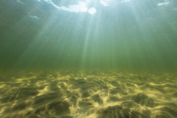  Beautiful sandy bottom of the sea. Clear water with rays of sunlight. Baltic sea.