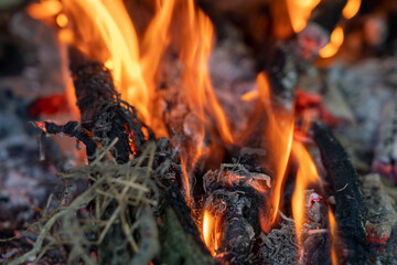 close up of burning firewood