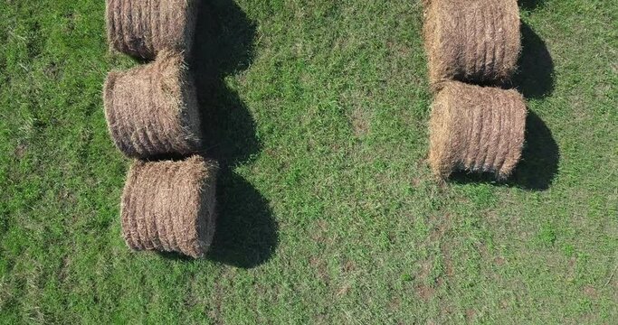 Aerial view of multiple hay bales on the farming field. Hay bales are used for feeding the animals at the farming fields. Hay bales for raising the livestock at farming fields. Agriculture.