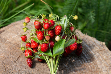 Strawberries are lying on a stump in the forest. Ripe strawberries on a wooden background close-up....